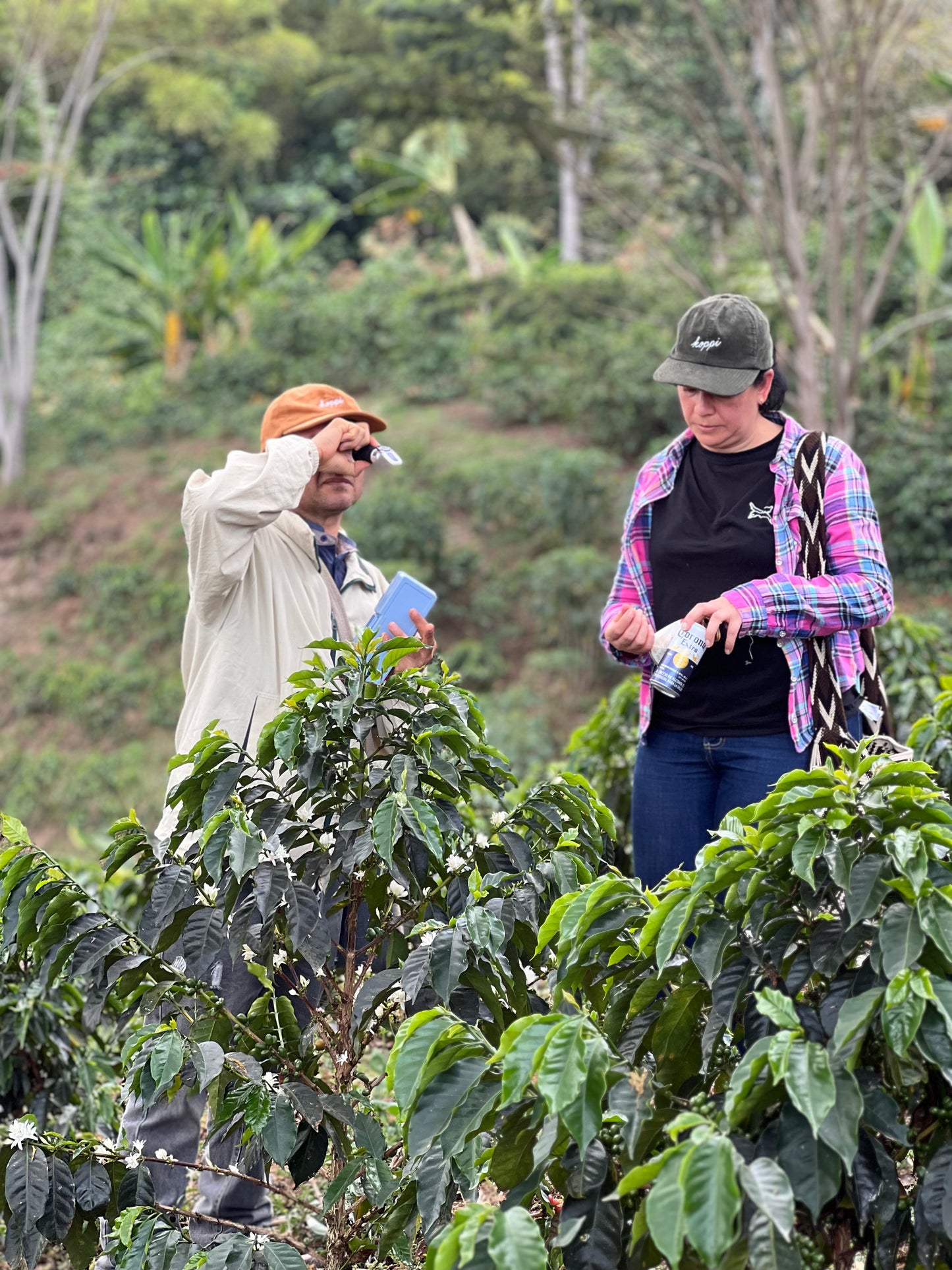 Colombia - Finca el Porvenir, Tabi 250g