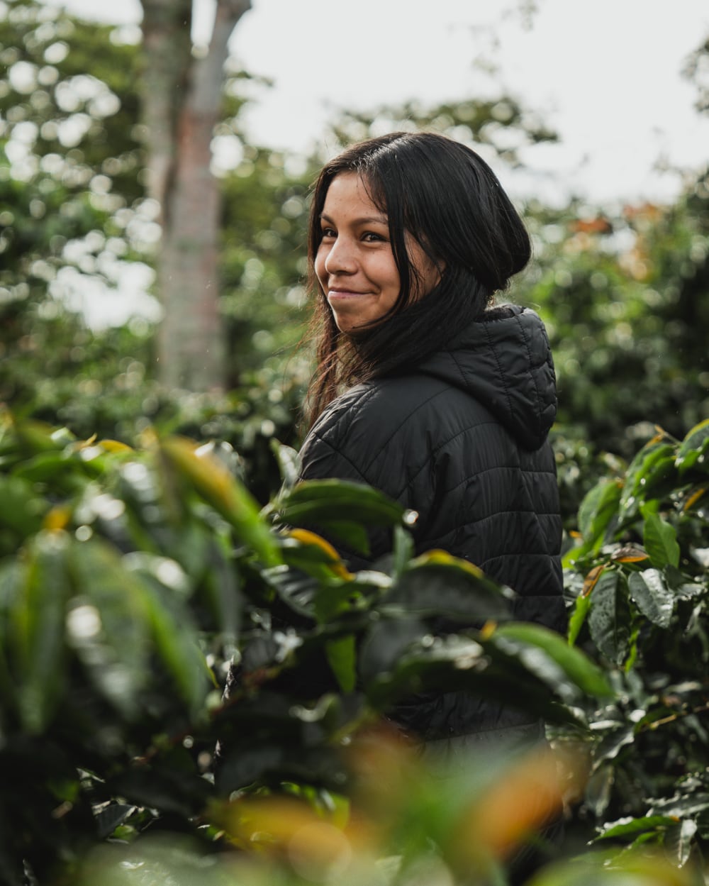 Karen Burbano among her Pink Bourbon coffee trees at Finca El Placer