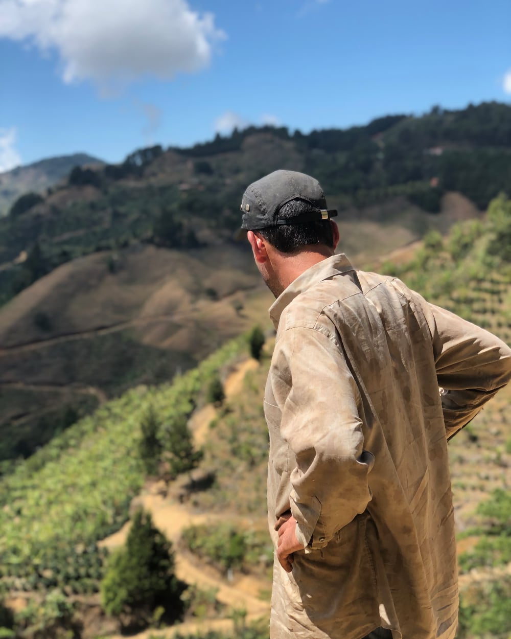 Looking out over the Tarrazu hills at La Lia, Costa Rica