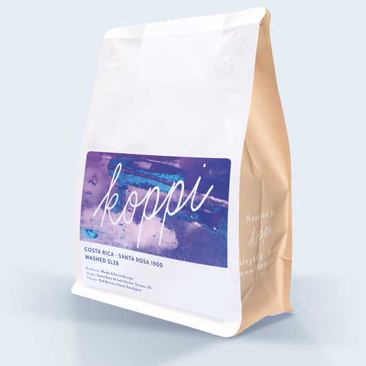 Costa Rica - Santa Rosa 1900  SL28 Wholesale