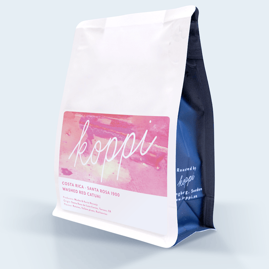 Costa Rica - Santa Rosa 1900 Wholesale - Filter coffee - Koppi Roasters
